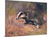 Badger, Swan, Wild Beasts-Cuthbert Swan-Mounted Art Print