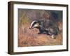 Badger, Swan, Wild Beasts-Cuthbert Swan-Framed Art Print