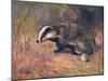 Badger, Swan, Wild Beasts-Cuthbert Swan-Mounted Art Print