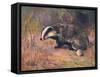 Badger, Swan, Wild Beasts-Cuthbert Swan-Framed Stretched Canvas