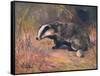 Badger, Swan, Wild Beasts-Cuthbert Swan-Framed Stretched Canvas