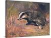 Badger, Swan, Wild Beasts-Cuthbert Swan-Stretched Canvas