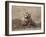 Badger (Taxidea Taxus), Custer State Park, South Dakota, United States of America, North America-James Hager-Framed Photographic Print