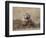 Badger (Taxidea Taxus), Custer State Park, South Dakota, United States of America, North America-James Hager-Framed Photographic Print