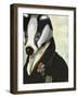 Badger the Hero-Fab Funky-Framed Art Print