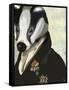 Badger the Hero-Fab Funky-Framed Stretched Canvas