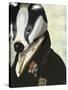 Badger the Hero-Fab Funky-Stretched Canvas