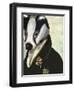 Badger the Hero-Fab Funky-Framed Art Print