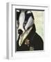 Badger the Hero-Fab Funky-Framed Art Print