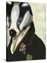 Badger the Hero-Fab Funky-Stretched Canvas