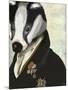 Badger the Hero-Fab Funky-Mounted Art Print
