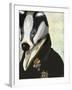 Badger the Hero-Fab Funky-Framed Art Print