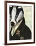 Badger the Hero-Fab Funky-Framed Art Print