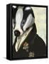 Badger the Hero-Fab Funky-Framed Stretched Canvas