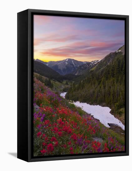 Badger Valley Sunrise, Olympic National Park, Washington, USA-Gary Luhm-Framed Stretched Canvas