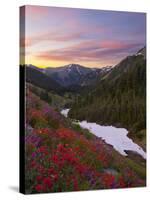 Badger Valley Sunrise, Olympic National Park, Washington, USA-Gary Luhm-Stretched Canvas