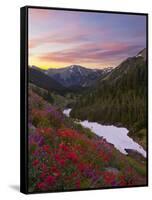 Badger Valley Sunrise, Olympic National Park, Washington, USA-Gary Luhm-Framed Stretched Canvas