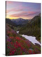 Badger Valley Sunrise, Olympic National Park, Washington, USA-Gary Luhm-Stretched Canvas