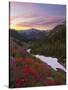 Badger Valley Sunrise, Olympic National Park, Washington, USA-Gary Luhm-Stretched Canvas