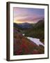 Badger Valley Sunrise, Olympic National Park, Washington, USA-Gary Luhm-Framed Premium Photographic Print