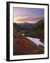 Badger Valley Sunrise, Olympic National Park, Washington, USA-Gary Luhm-Framed Premium Photographic Print