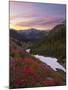 Badger Valley Sunrise, Olympic National Park, Washington, USA-Gary Luhm-Mounted Premium Photographic Print