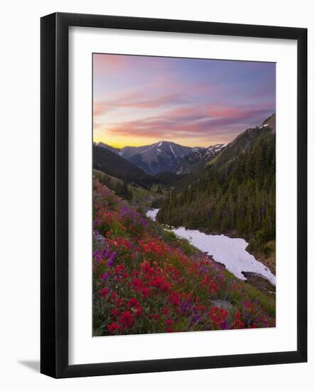 Badger Valley Sunrise, Olympic National Park, Washington, USA-Gary Luhm-Framed Photographic Print