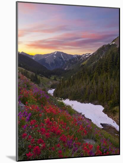 Badger Valley Sunrise, Olympic National Park, Washington, USA-Gary Luhm-Mounted Photographic Print