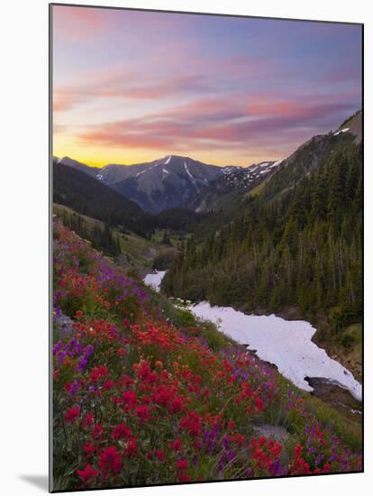 Badger Valley Sunrise, Olympic National Park, Washington, USA-Gary Luhm-Mounted Photographic Print