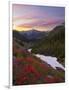 Badger Valley Sunrise, Olympic National Park, Washington, USA-Gary Luhm-Framed Photographic Print