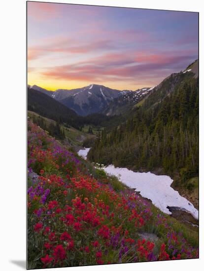 Badger Valley Sunrise, Olympic National Park, Washington, USA-Gary Luhm-Mounted Photographic Print