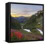 Badger Valley Sunrise, Olympic National Park, Washington, USA-Gary Luhm-Framed Stretched Canvas