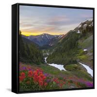 Badger Valley Sunrise, Olympic National Park, Washington, USA-Gary Luhm-Framed Stretched Canvas