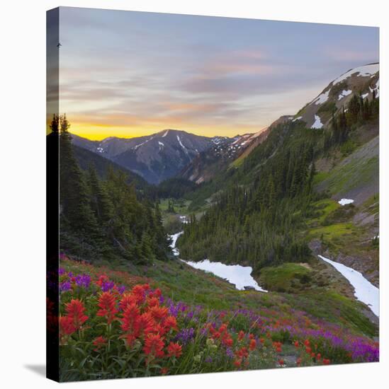 Badger Valley Sunrise, Olympic National Park, Washington, USA-Gary Luhm-Stretched Canvas