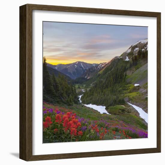 Badger Valley Sunrise, Olympic National Park, Washington, USA-Gary Luhm-Framed Photographic Print