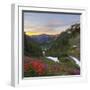 Badger Valley Sunrise, Olympic National Park, Washington, USA-Gary Luhm-Framed Photographic Print