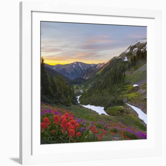 Badger Valley Sunrise, Olympic National Park, Washington, USA-Gary Luhm-Framed Photographic Print