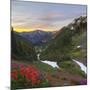 Badger Valley Sunrise, Olympic National Park, Washington, USA-Gary Luhm-Mounted Photographic Print