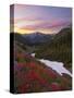 Badger Valley Sunrise, Olympic National Park, Washington, USA-Gary Luhm-Stretched Canvas