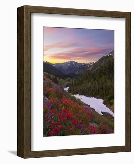 Badger Valley Sunrise, Olympic National Park, Washington, USA-Gary Luhm-Framed Photographic Print