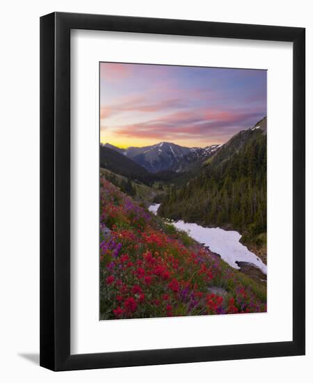 Badger Valley Sunrise, Olympic National Park, Washington, USA-Gary Luhm-Framed Photographic Print