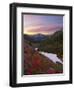 Badger Valley Sunrise, Olympic National Park, Washington, USA-Gary Luhm-Framed Photographic Print