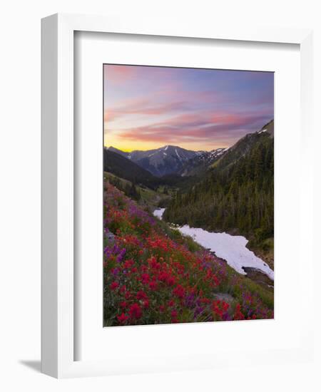 Badger Valley Sunrise, Olympic National Park, Washington, USA-Gary Luhm-Framed Photographic Print