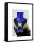 Badger with Blue Top Hat and Moustache-Fab Funky-Framed Stretched Canvas