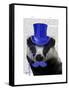 Badger with Blue Top Hat and Moustache-Fab Funky-Framed Stretched Canvas