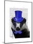 Badger with Blue Top Hat and Moustache-Fab Funky-Mounted Art Print