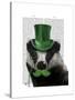 Badger with Green Top Hat and Moustache-Fab Funky-Stretched Canvas