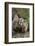 Badger-DLILLC-Framed Photographic Print