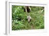 Badger-Reiner Bernhardt-Framed Photographic Print