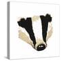 Badger-Sarah Thompson-Engels-Stretched Canvas